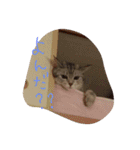 ラブ日々（個別スタンプ：2）