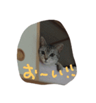ラブ日々（個別スタンプ：5）
