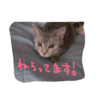 ラブ日々（個別スタンプ：9）