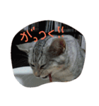ラブ日々（個別スタンプ：11）