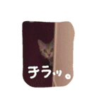 ラブ日々（個別スタンプ：18）