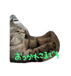 ラブ日々（個別スタンプ：19）