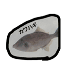 中里です（個別スタンプ：6）