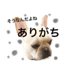 フレブルの日常 1（個別スタンプ：9）
