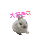 ミニウサぐぅたん（個別スタンプ：5）