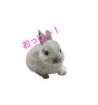ミニウサぐぅたん（個別スタンプ：13）