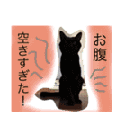 黒猫のくつ君2（個別スタンプ：20）