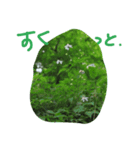 しぜんのつぶやき（個別スタンプ：3）