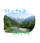 しぜんのつぶやき（個別スタンプ：7）
