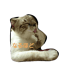 マシュマロ・テト・ぼんちゃん日和（個別スタンプ：4）