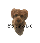あざといぷー part2（個別スタンプ：1）