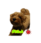 マルプータルトのスタンプ2（個別スタンプ：4）