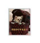 miyu pretty（個別スタンプ：1）