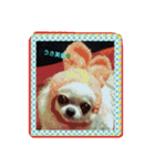 miyu pretty（個別スタンプ：4）