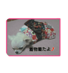miyu pretty（個別スタンプ：6）