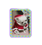 merry  Christmas（個別スタンプ：4）