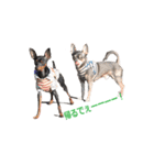 three brothers dog part 3（個別スタンプ：2）