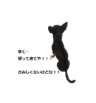 three brothers dog part 3（個別スタンプ：14）