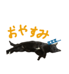 カワチ家のニケさん（個別スタンプ：3）