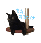 カワチ家のニケさん（個別スタンプ：20）