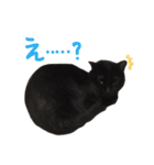 カワチ家のニケさん（個別スタンプ：29）
