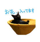 カワチ家のニケさん（個別スタンプ：30）