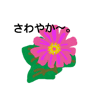Flowers ＆ mini coments（個別スタンプ：6）