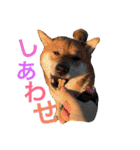 みみ太です。（個別スタンプ：4）