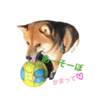 みみ太です。（個別スタンプ：9）