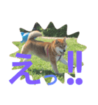 みみ太です。（個別スタンプ：11）