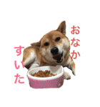 みみ太です。（個別スタンプ：14）