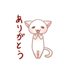 ぴんくなねこさん（個別スタンプ：3）