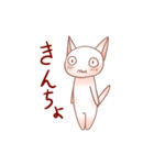 ぴんくなねこさん（個別スタンプ：17）