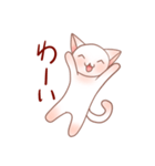 ぴんくなねこさん（個別スタンプ：20）