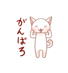 ぴんくなねこさん（個別スタンプ：37）