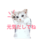 ネギとタマ（個別スタンプ：1）