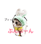 ネギとタマ（個別スタンプ：2）