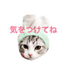 ネギとタマ（個別スタンプ：3）