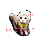 ネギとタマ（個別スタンプ：4）