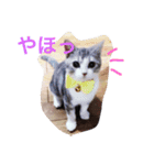 ネギとタマ（個別スタンプ：6）