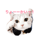 ネギとタマ（個別スタンプ：7）
