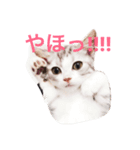 ネギとタマ（個別スタンプ：10）