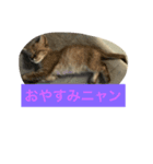 ミント王子（個別スタンプ：5）