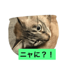 ミント王子（個別スタンプ：6）