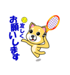 柴犬のテニス（個別スタンプ：16）