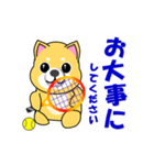 柴犬のテニス（個別スタンプ：25）