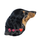 あいあむのんちゃん（個別スタンプ：4）