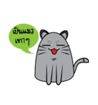 I am cat white and I am cat gray（個別スタンプ：1）