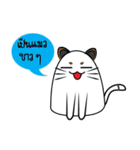 I am cat white and I am cat gray（個別スタンプ：2）
