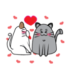 I am cat white and I am cat gray（個別スタンプ：4）